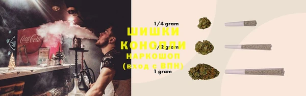 PSILOCYBIN Заречный