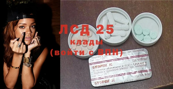 молекула духа Заполярный