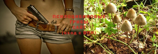 PSILOCYBIN Заречный