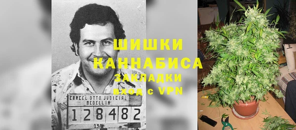 PSILOCYBIN Заречный