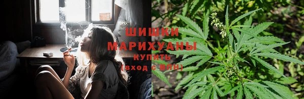 прущая мука Щигры