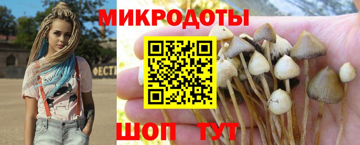 Псилоцибиновые грибы прущие грибы  Псилоцибиновые грибы мухоморы  Вход с VPN  Алейск 