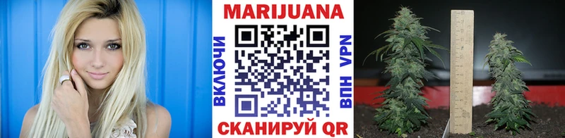 blacksprut ONION  Алейск  Бошки марихуана тримм  цена наркотик 